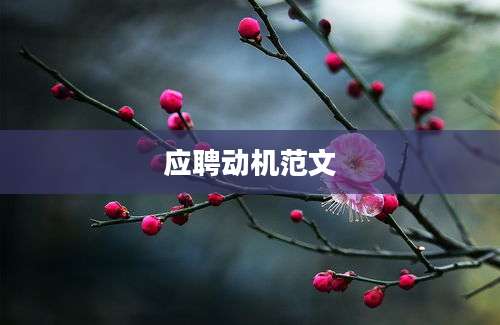 应聘动机范文