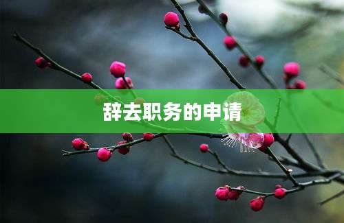 辞去职务的申请