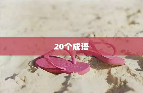 20个成语