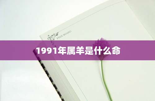 1991年属羊是什么命