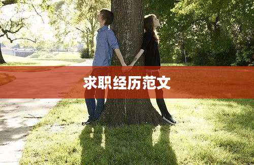求职经历范文