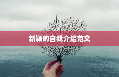 新颖的自我介绍范文