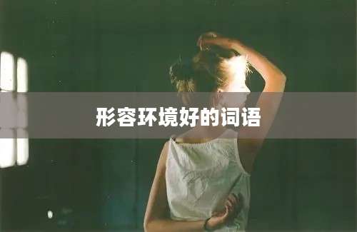形容环境好的词语