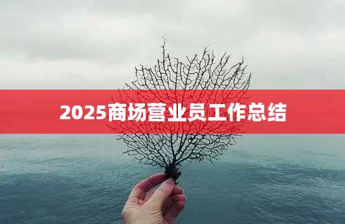 2025商场营业员工作总结
