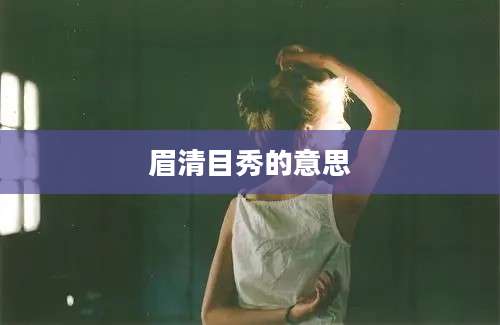 眉清目秀的意思