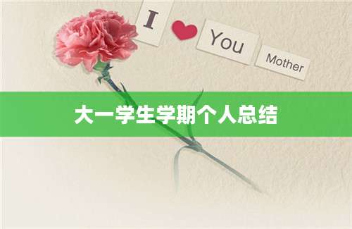 大一学生学期个人总结