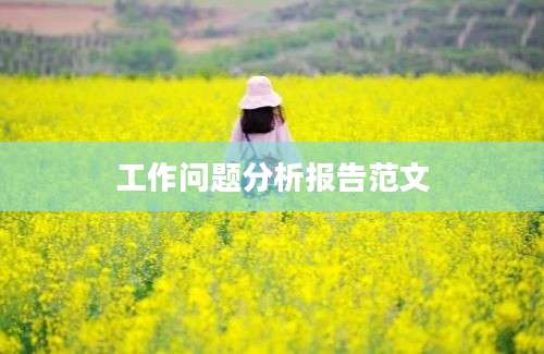 工作问题分析报告范文