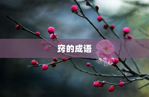 窍的成语