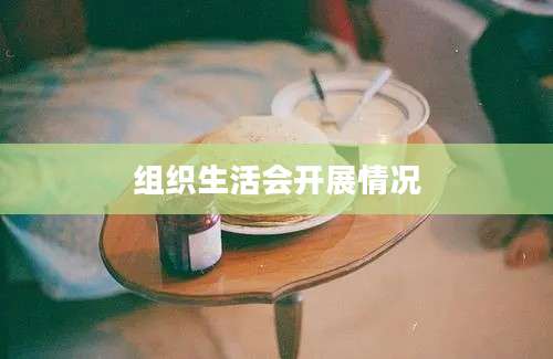 组织生活会开展情况