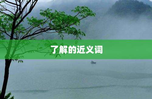 了解的近义词