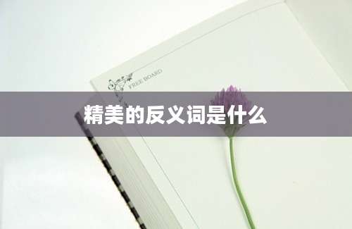 精美的反义词是什么
