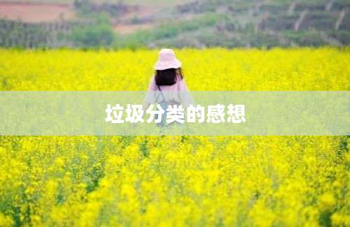 垃圾分类的感想