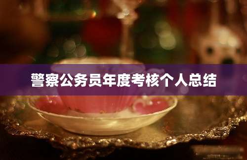 警察公务员年度考核个人总结