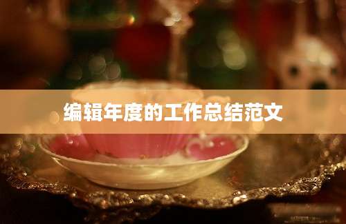 编辑年度的工作总结范文