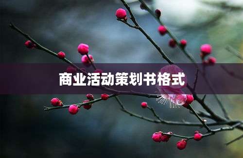 商业活动策划书格式