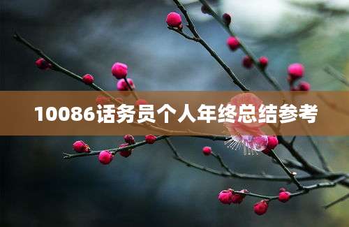 10086话务员个人年终总结参考