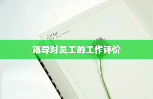 领导对员工的工作评价