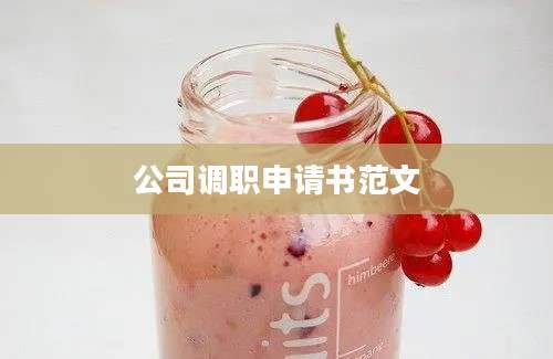 公司调职申请书范文