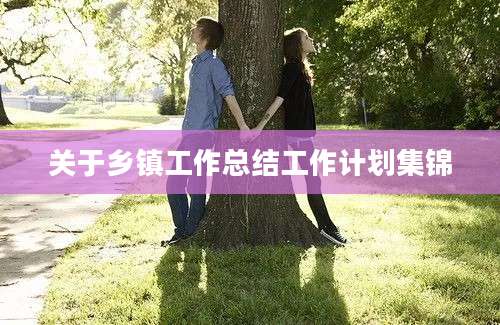 关于乡镇工作总结工作计划集锦