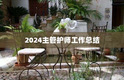 2024主管护师工作总结