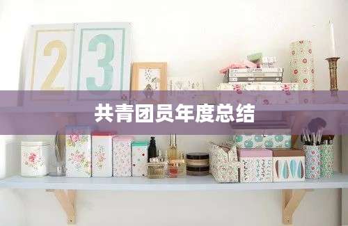 共青团员年度总结