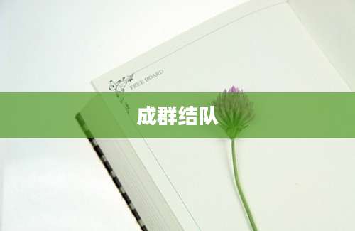成群结队