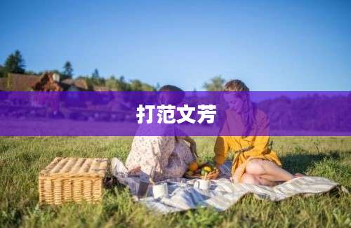 打范文芳