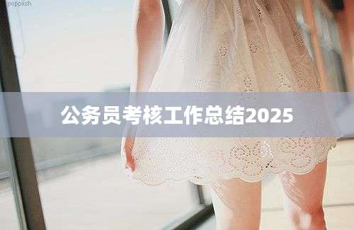 公务员考核工作总结2025