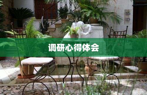 调研心得体会