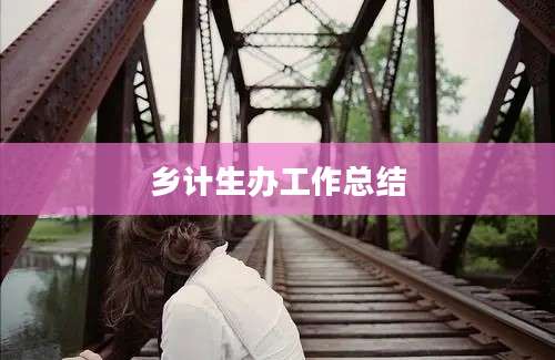 乡计生办工作总结