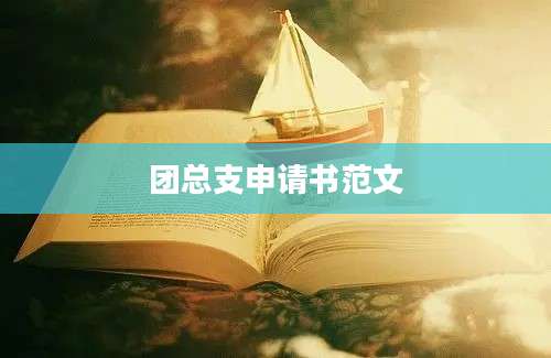 团总支申请书范文