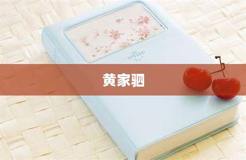 黄家驷