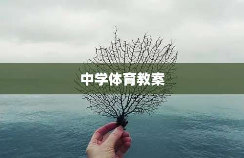 中学体育教案