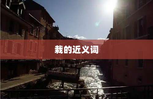 栽的近义词