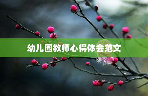 幼儿园教师心得体会范文