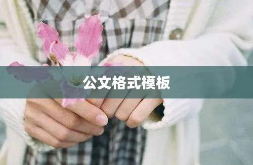 公文格式模板