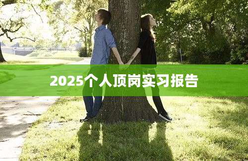 2025个人顶岗实习报告