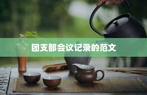 团支部会议记录的范文