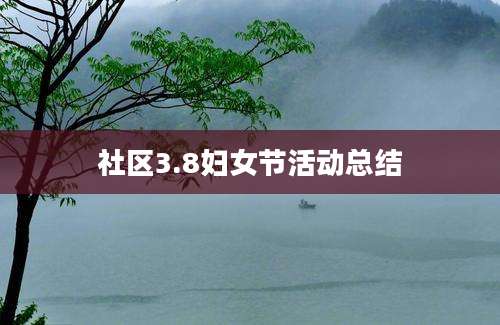 社区3.8妇女节活动总结