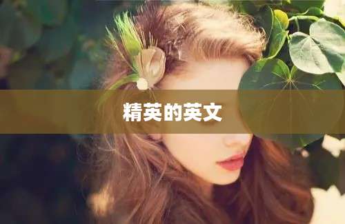 精英的英文