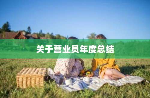 关于营业员年度总结