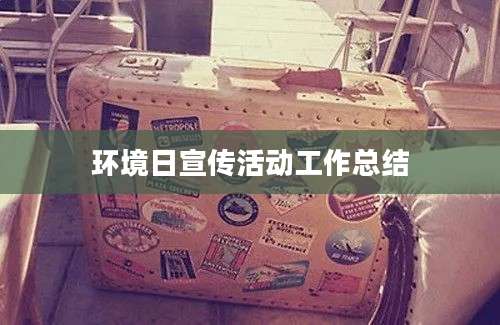 环境日宣传活动工作总结