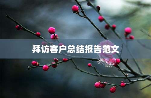 拜访客户总结报告范文