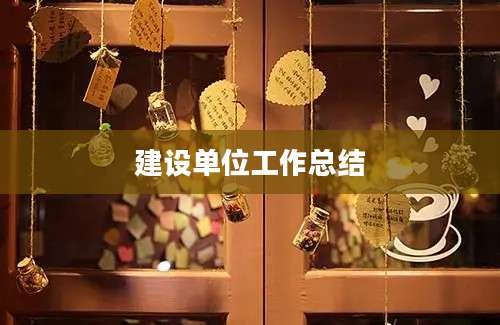 建设单位工作总结
