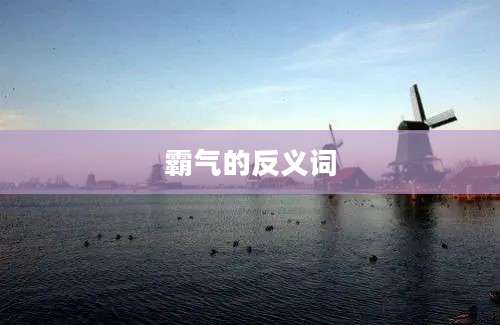 霸气的反义词
