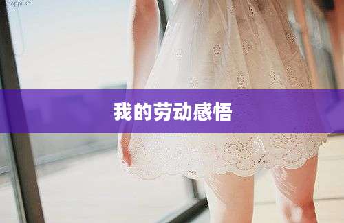 我的劳动感悟