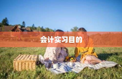 会计实习目的