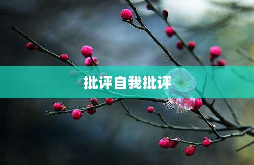 批评自我批评