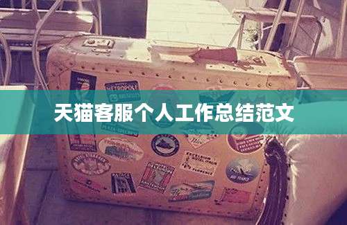 天猫客服个人工作总结范文