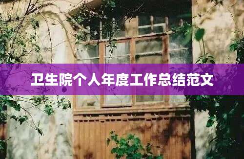 卫生院个人年度工作总结范文